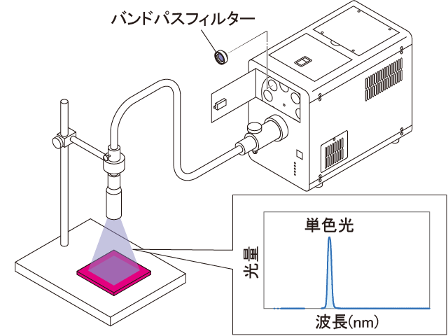 使用例ライトガイド照明セット